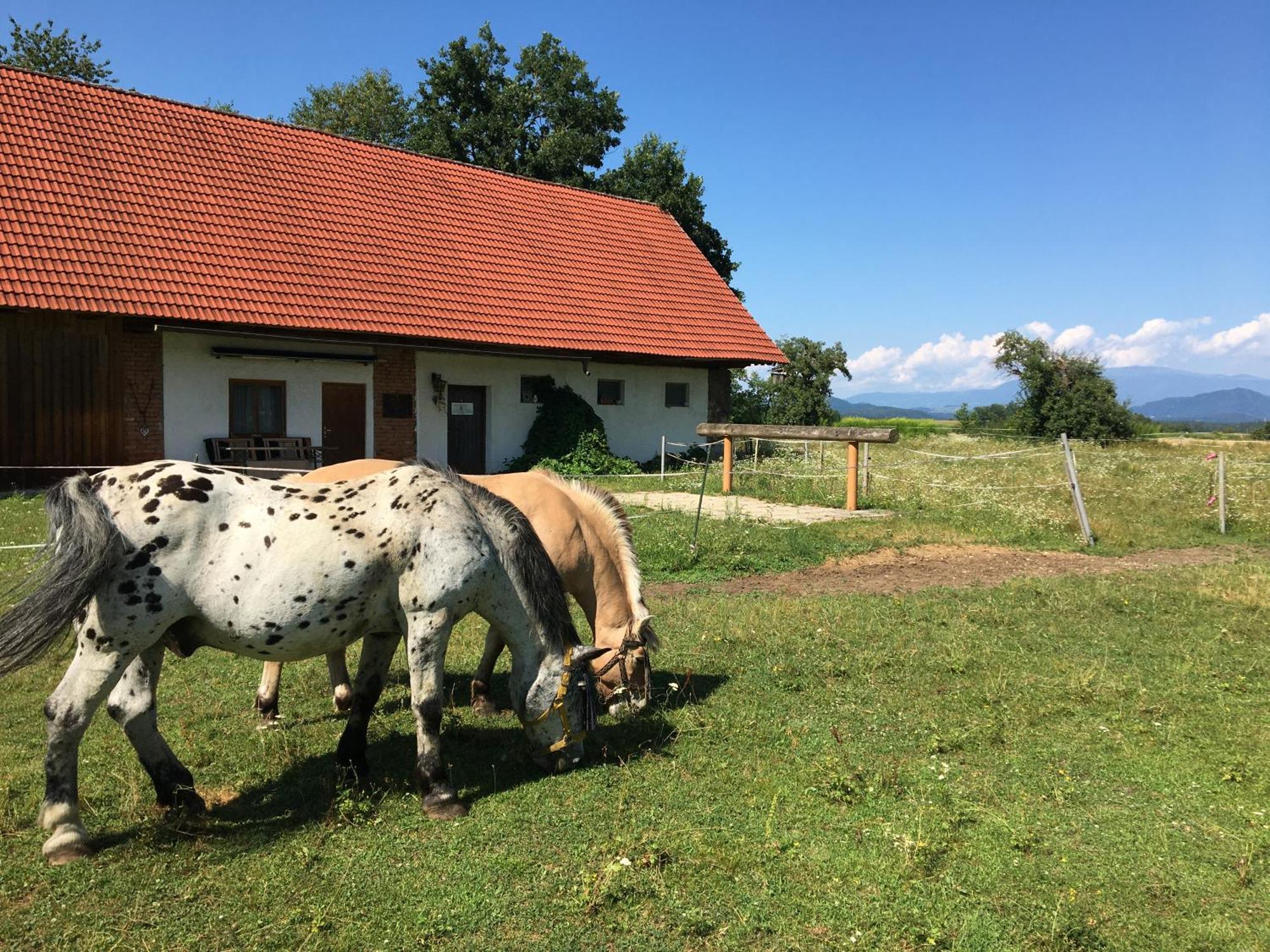 Skorianzhof Hotel Eberndorf ภายนอก รูปภาพ