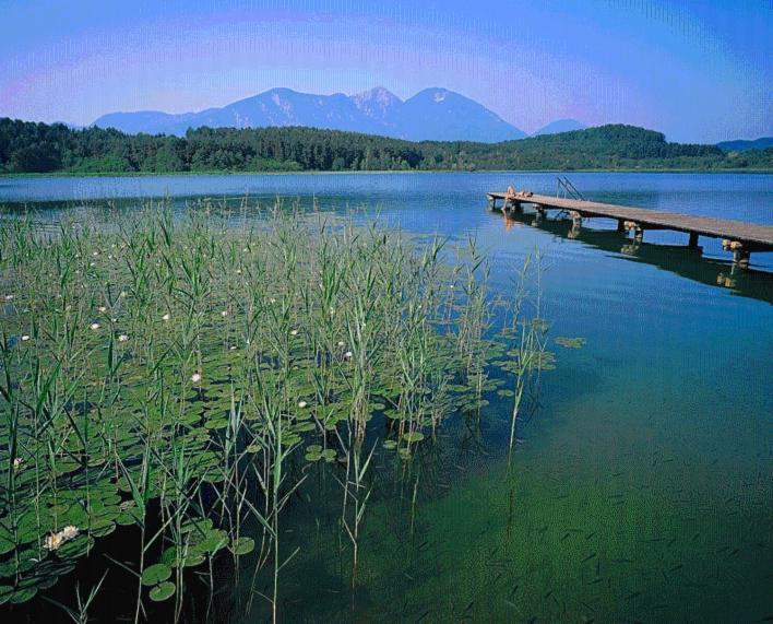 Skorianzhof Hotel Eberndorf ภายนอก รูปภาพ