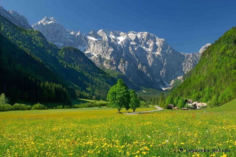 Skorianzhof Hotel Eberndorf ภายนอก รูปภาพ